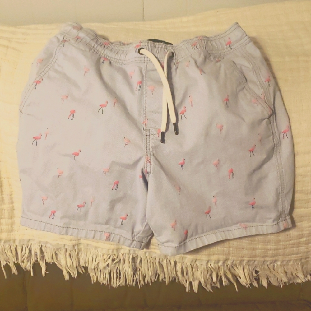 Mens Hollister Jogger Shorts size small